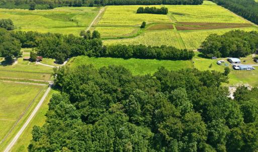 Photo #7 of Carolina 43, Macclesfield, NC 50.0 acres