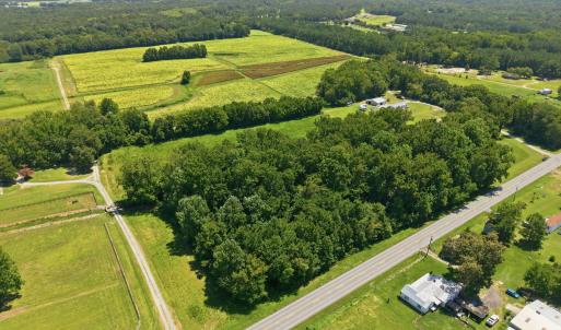 Photo #1 of Carolina 43, Macclesfield, NC 50.0 acres