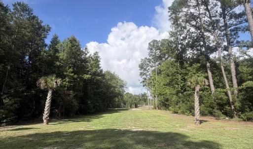 Photo #6 of 369 Randolphville, Bolivia, NC 71.0 acres