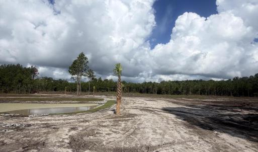 Photo #5 of 369 Randolphville, Bolivia, NC 71.0 acres