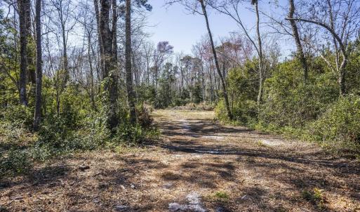 Photo #24 of 634 Persimmon, Calabash, NC 5.3 acres