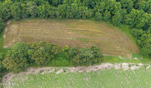 Photo #39 of Tbd Nc-403, Mount Olive, NC 77.5 acres