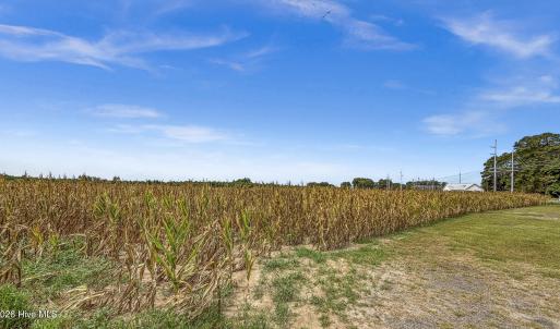Photo #14 of Tbd Nc-403, Mount Olive, NC 77.5 acres