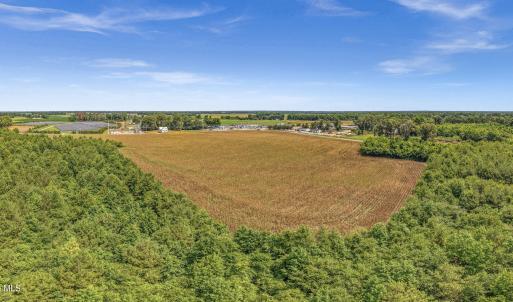 Photo #29 of Tbd Nc-403, Mount Olive, NC 77.5 acres