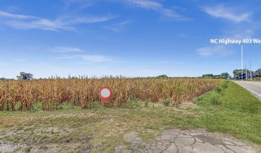 Photo #12 of Tbd Nc-403, Mount Olive, NC 77.5 acres