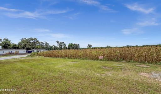 Photo #13 of Tbd Nc-403, Mount Olive, NC 77.5 acres