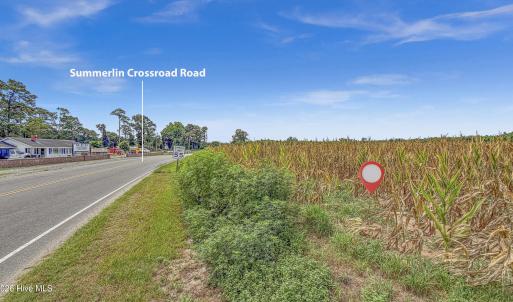 Photo #15 of Tbd Nc-403, Mount Olive, NC 77.5 acres
