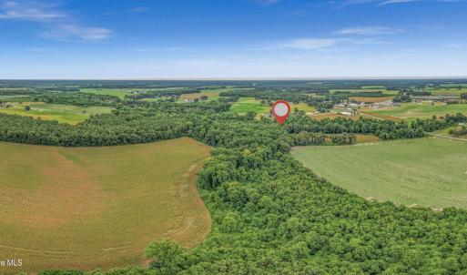Photo #27 of Tbd Nc-403, Mount Olive, NC 77.5 acres