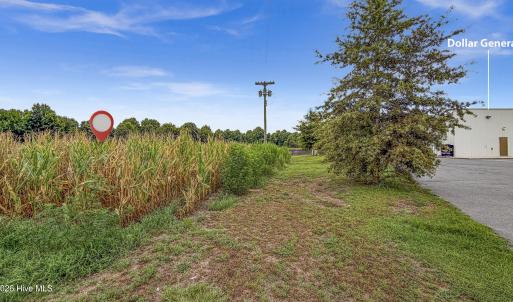 Photo #33 of Tbd Nc-403, Mount Olive, NC 77.5 acres