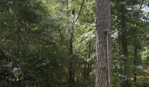 Photo #11 of 2529 Mary Frances, Bolivia, NC 10.5 acres