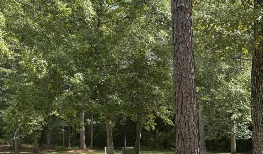 Photo #7 of 2529 Mary Frances, Bolivia, NC 10.5 acres