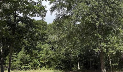 Photo #10 of 2529 Mary Frances, Bolivia, NC 10.5 acres