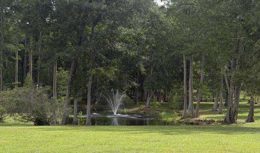 Photo #14 of 2529 Mary Frances, Bolivia, NC 10.5 acres
