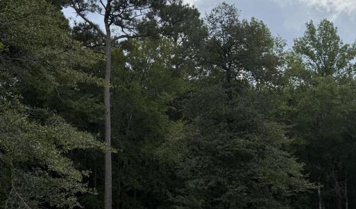 Photo #13 of 2529 Mary Frances, Bolivia, NC 10.5 acres