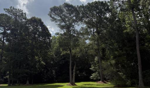 Photo #9 of 2529 Mary Frances, Bolivia, NC 10.5 acres