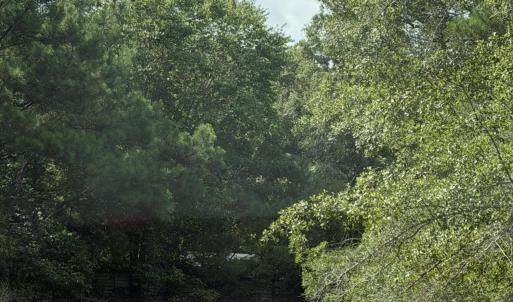 Photo #8 of 2529 Mary Frances, Bolivia, NC 10.5 acres