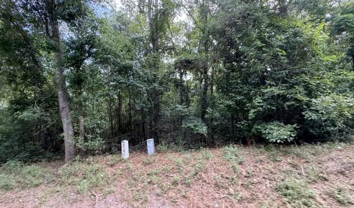 Photo #2 of 1428 Rainbow Falls, North Augusta, SC 8.2 acres