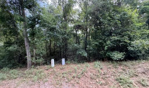 Photo #2 of 1428 Rainbow Falls, North Augusta, SC 8.2 acres