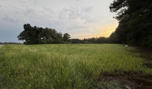 Photo #7 of Lot 9 Point Caswell Road, Willard, NC 11.0 acres
