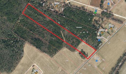 Photo #5 of Lot 9 Point Caswell Road, Willard, NC 11.0 acres