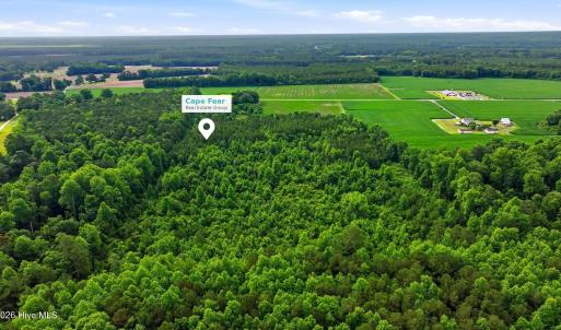 Photo #3 of Lot 9 Point Caswell Road, Willard, NC 11.0 acres