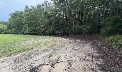 Photo #8 of Lot 9 Point Caswell Road, Willard, NC 11.0 acres