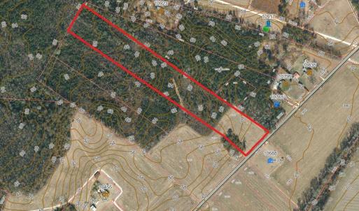 Photo #6 of Lot 9 Point Caswell Road, Willard, NC 11.0 acres