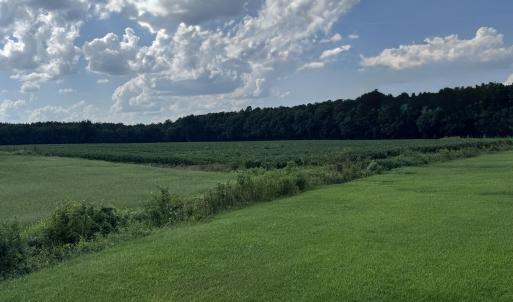 Photo #1 of 252 Haw Branch, Richlands, NC 23.7 acres