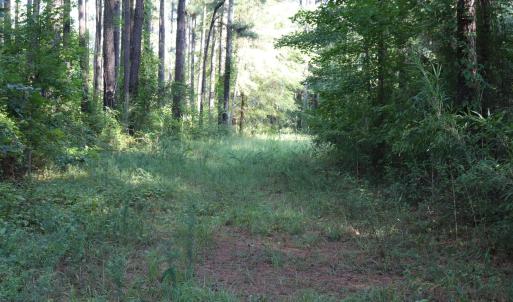 Photo #12 of Tbd River Haven, Harrells, NC 3.1 acres