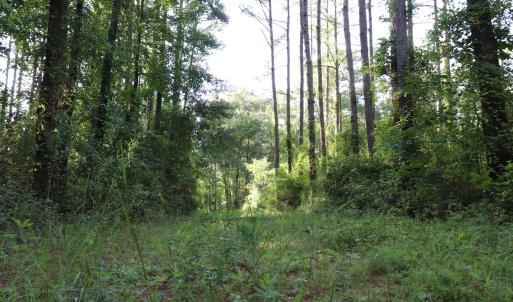 Photo #11 of Tbd River Haven, Harrells, NC 3.1 acres