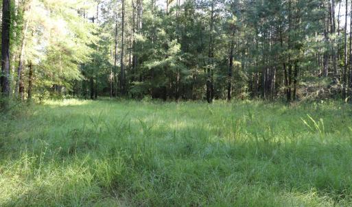 Photo #9 of Tbd River Haven, Harrells, NC 3.1 acres
