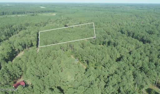 Photo #23 of Tbd River Haven, Harrells, NC 3.1 acres