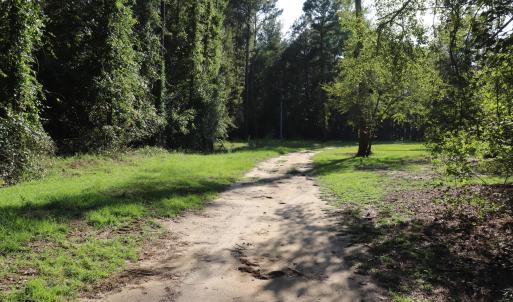 Photo #3 of Tbd River Haven, Harrells, NC 3.1 acres