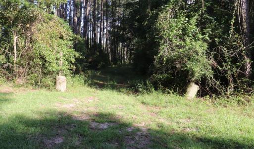 Photo #8 of Tbd River Haven, Harrells, NC 3.1 acres