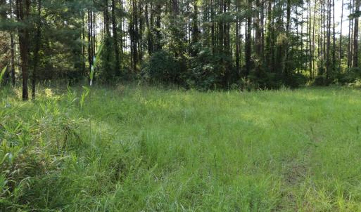 Photo #10 of Tbd River Haven, Harrells, NC 3.1 acres