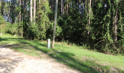 Photo #7 of Tbd River Haven, Harrells, NC 3.1 acres