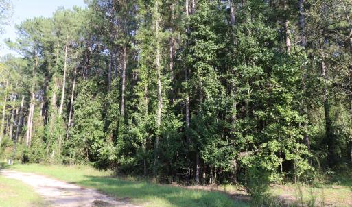 Photo #6 of Tbd River Haven, Harrells, NC 3.1 acres