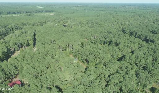 Photo #22 of Tbd River Haven, Harrells, NC 3.1 acres