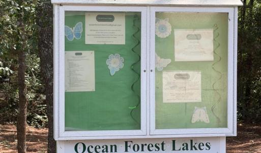 Photo #7 of 289 Okeechobee, Wilmington, NC 0.4 acres