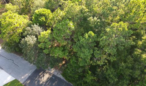 Photo #3 of 289 Okeechobee, Wilmington, NC 0.4 acres