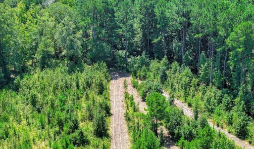 Photo #57 of 170 Landing, Jackson, SC 143.8 acres