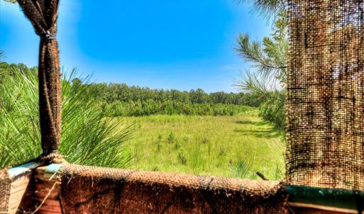 Photo #27 of 170 Landing, Jackson, SC 143.8 acres