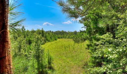 Photo #26 of 170 Landing, Jackson, SC 143.8 acres