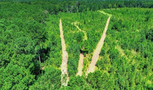 Photo #53 of 170 Landing, Jackson, SC 143.8 acres