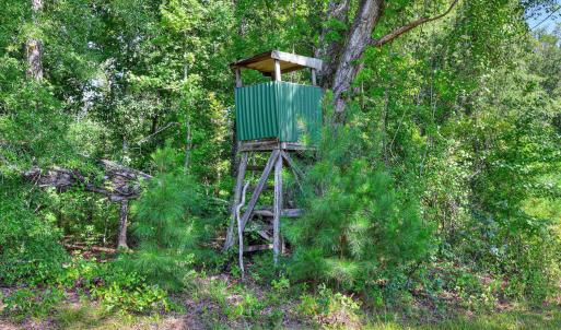 Photo #12 of 170 Landing, Jackson, SC 143.8 acres