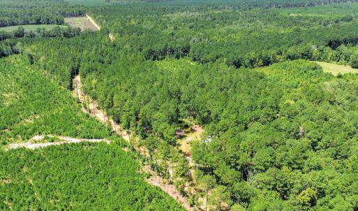 Photo #44 of 170 Landing, Jackson, SC 143.8 acres