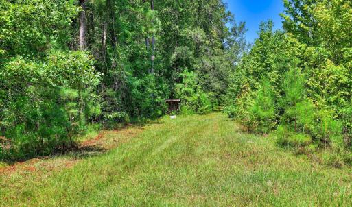 Photo #29 of 170 Landing, Jackson, SC 143.8 acres