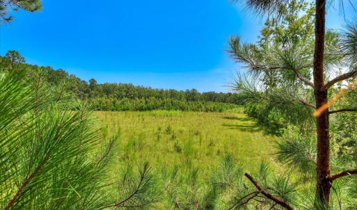 Photo #28 of 170 Landing, Jackson, SC 143.8 acres