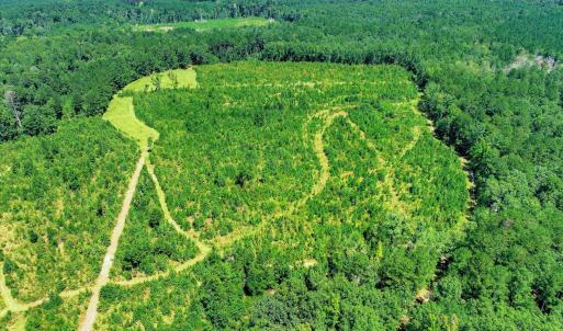 Photo #61 of 170 Landing, Jackson, SC 143.8 acres
