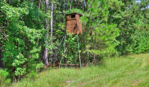 Photo #23 of 170 Landing, Jackson, SC 143.8 acres